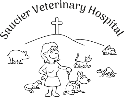 Saucier Veterinary Hospital